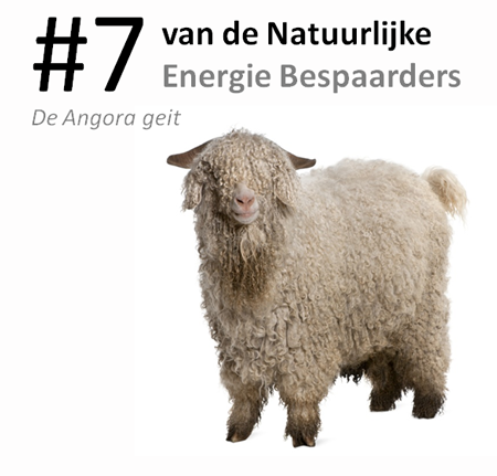 #7 van de natuurlijke energie bespaarders: de ango...